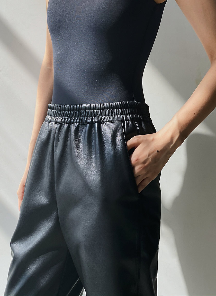 Babaton ZEDEL PANT | Aritzia US