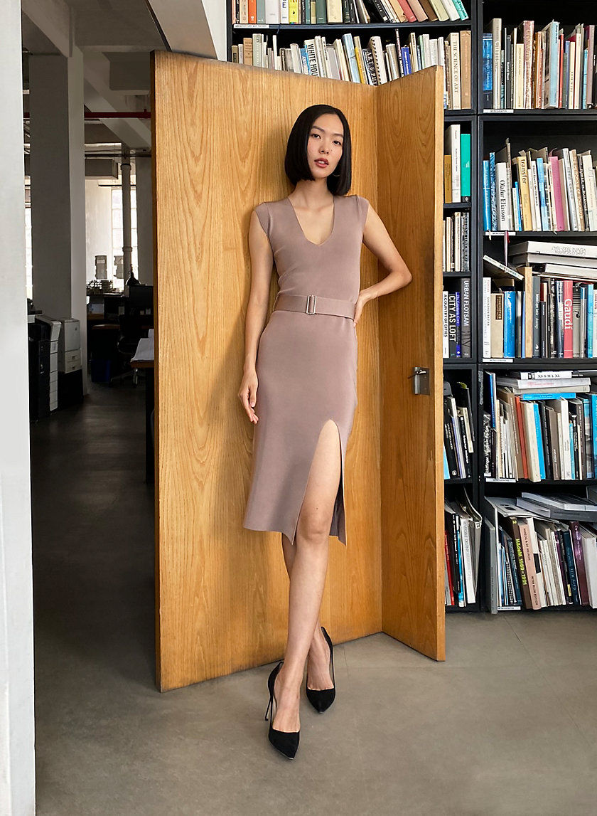 Babaton DELMARO DRESS | Aritzia INTL