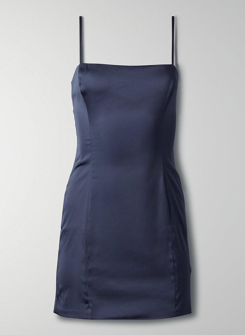 blue aritzia dress