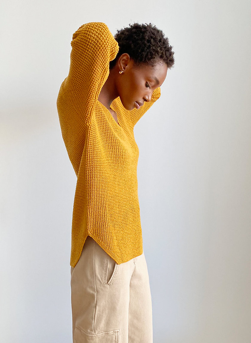 wilfred free v neck sweater