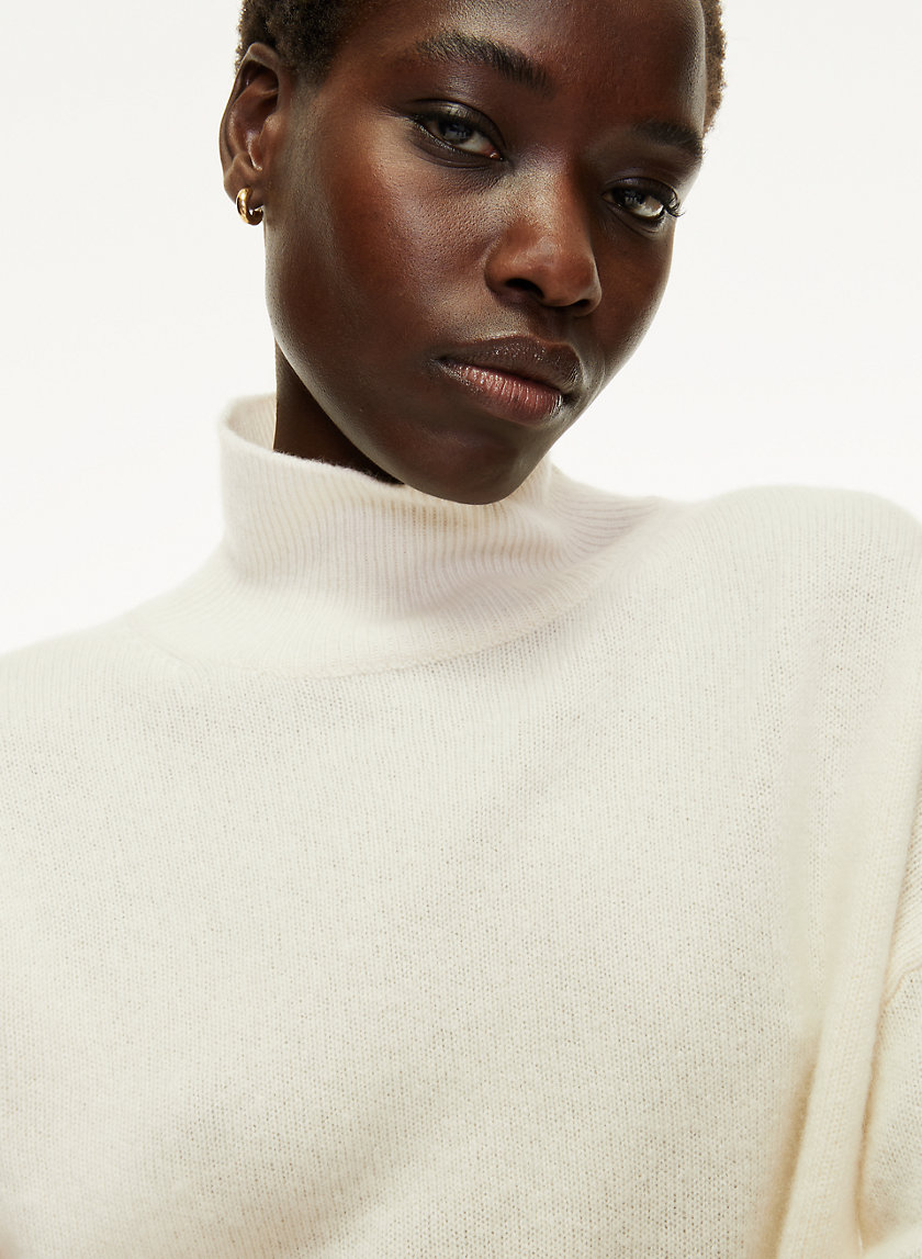 The Group by Babaton LUXE CASHMERE TURTLENECK | Aritzia US