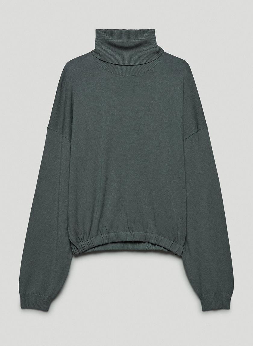 Babaton FICTIVE TURTLENECK | Aritzia US