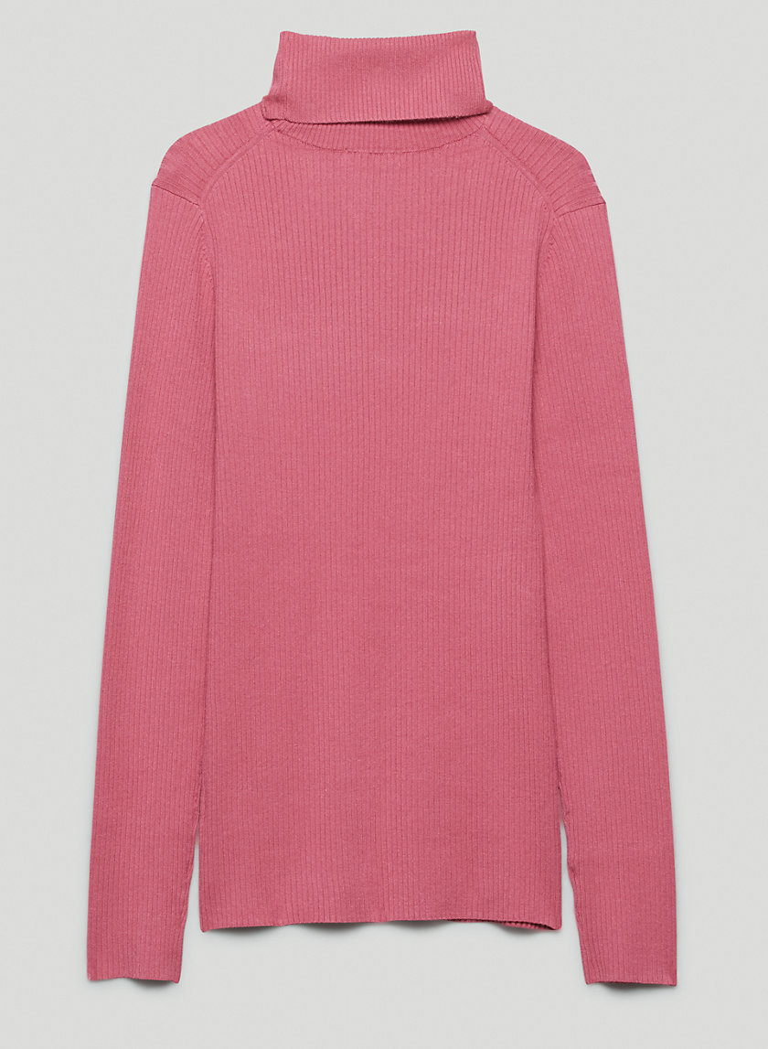 Babaton COMPEL TURTLENECK | Aritzia US