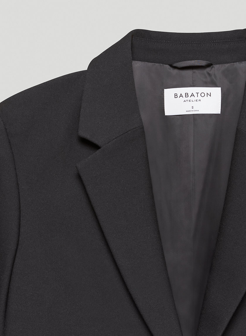 Babaton PRODUCTION BLAZER | Aritzia US