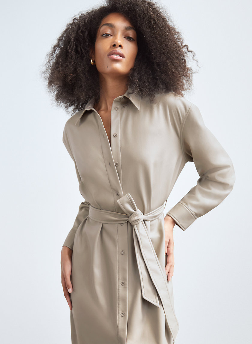 Babaton VICE DRESS | Aritzia US