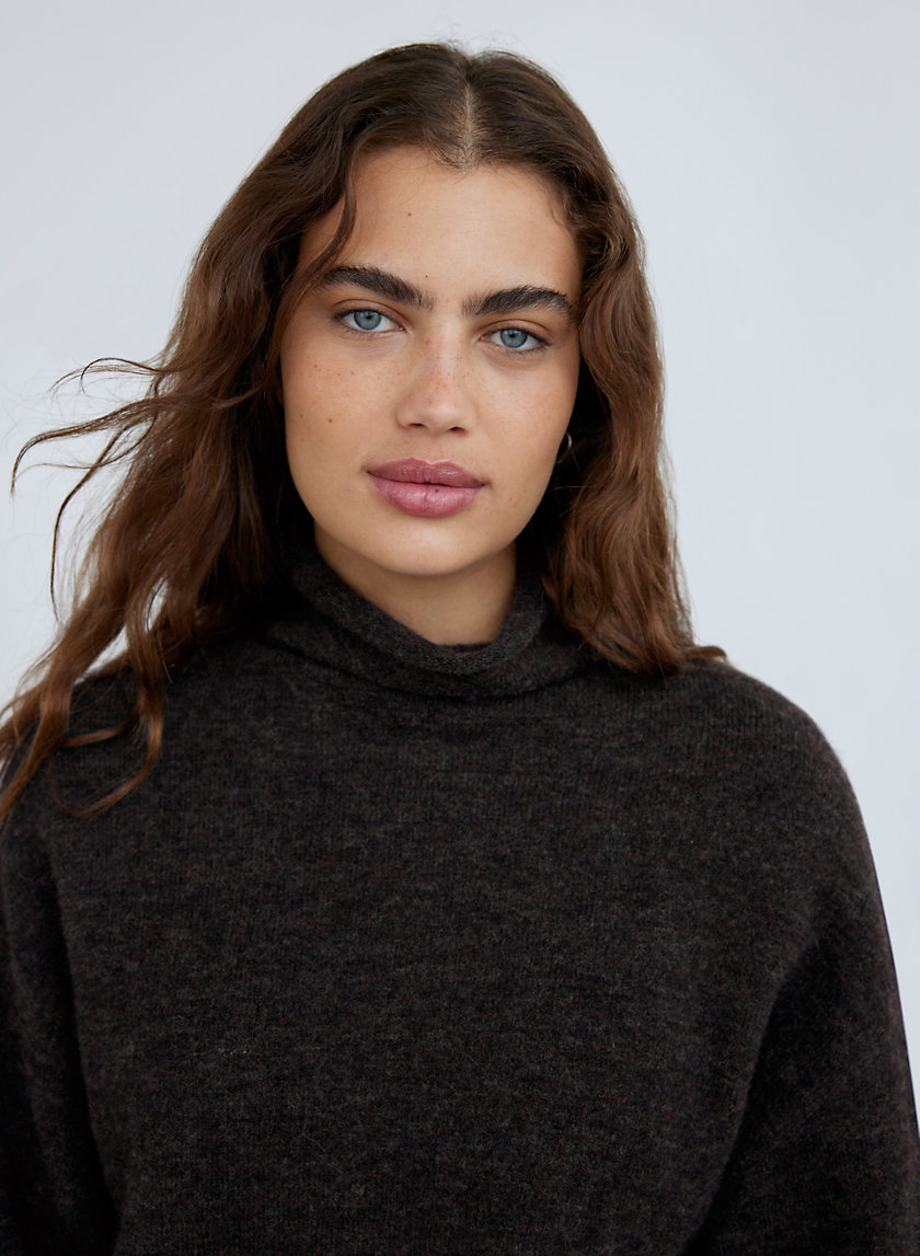 Wilfred LORIN SWEATER | Aritzia CA