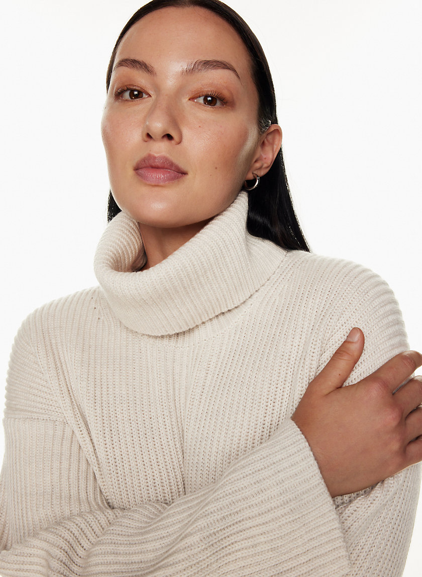 Babaton MALLO TURTLENECK | Aritzia CA