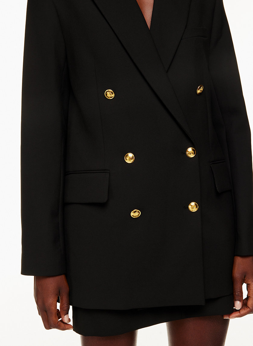 Babaton STATUS BLAZER Aritzia INTL