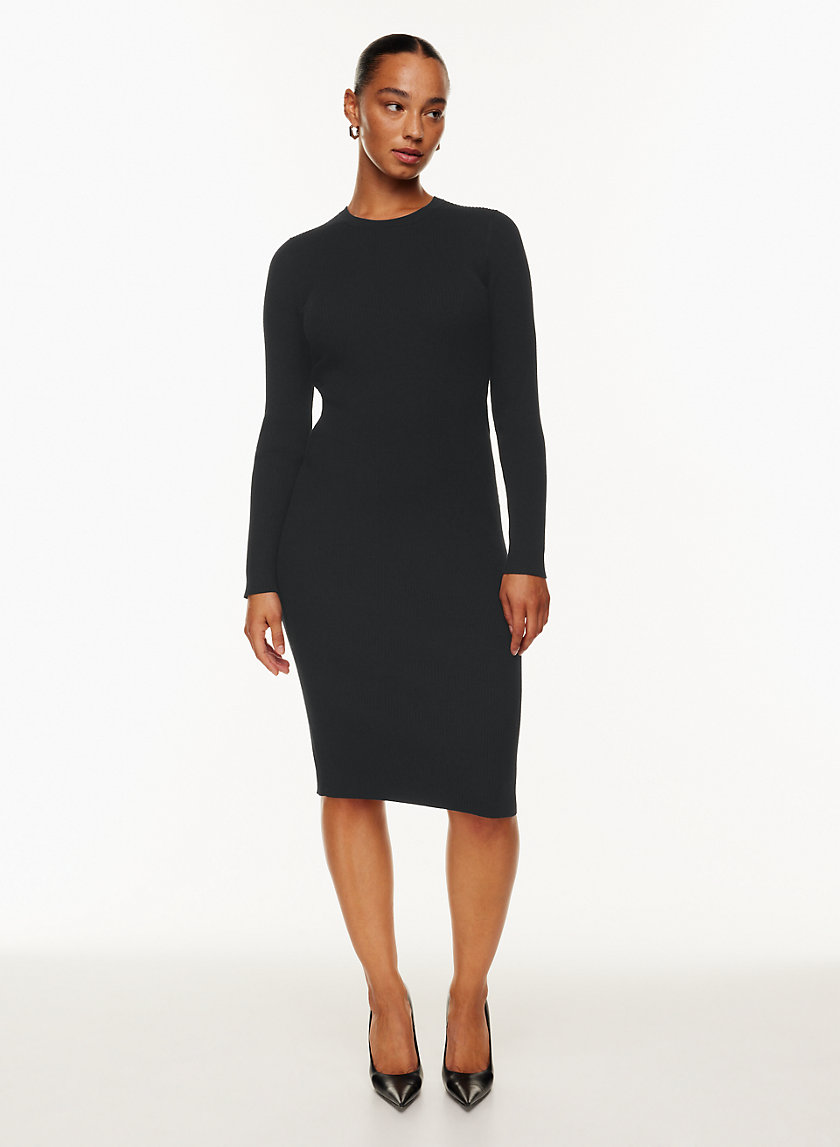 Babaton DUMAS DRESS | Aritzia US