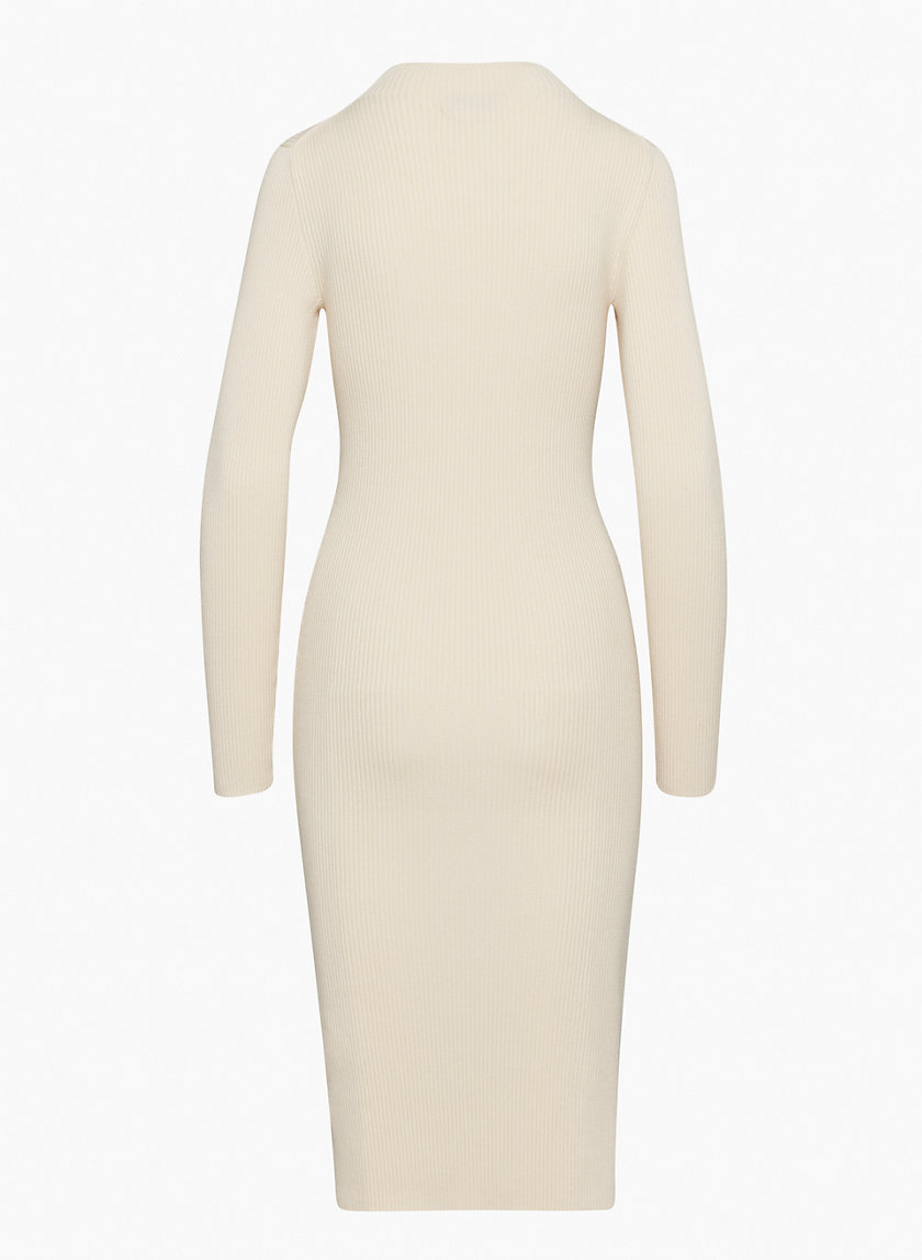 Babaton COMPOSE DRESS | Aritzia CA