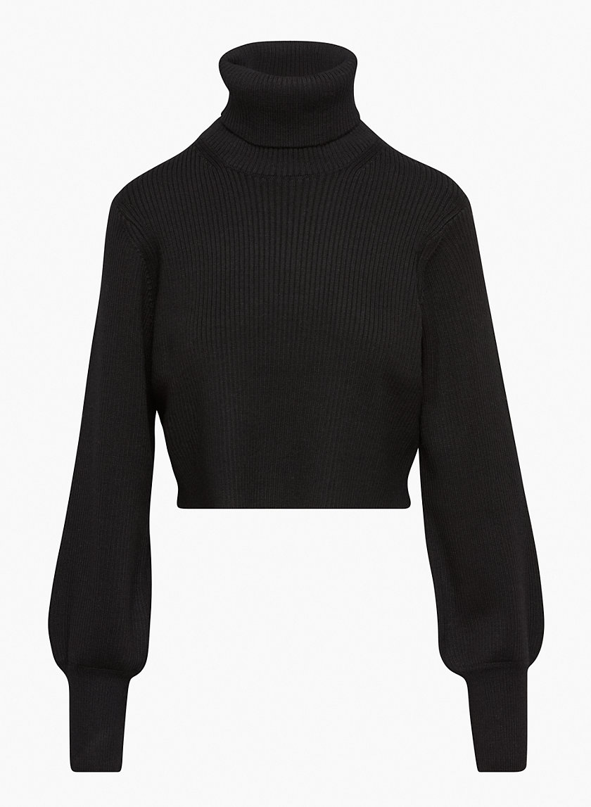 Wilfred REBECCA TURTLENECK | Aritzia US