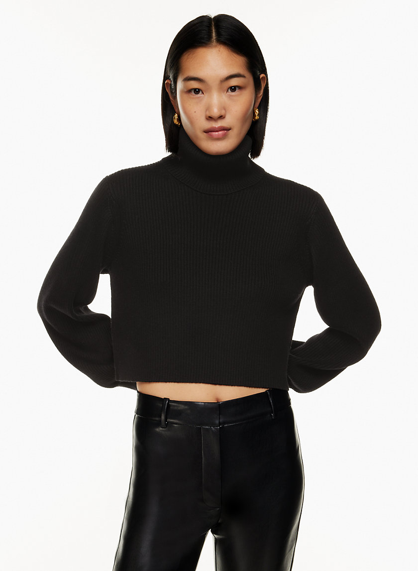Wilfred REBECCA TURTLENECK Aritzia US