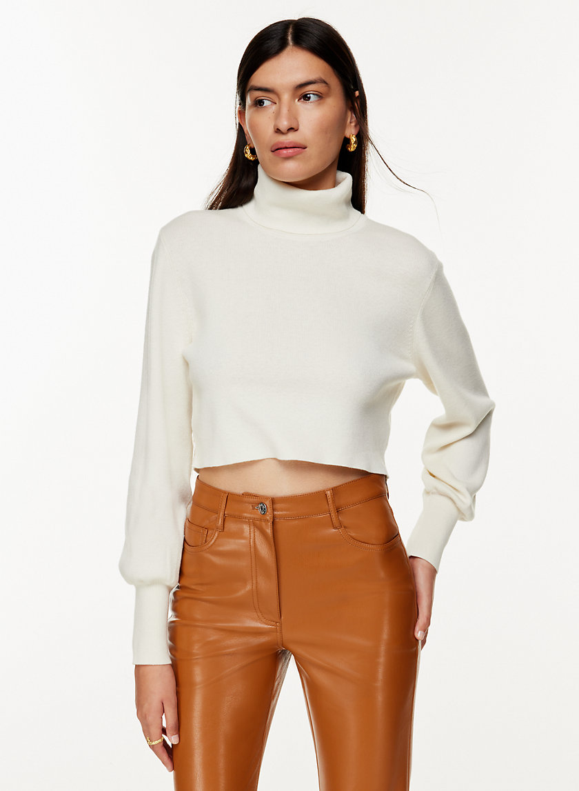 Wilfred REBECCA TURTLENECK | Aritzia INTL