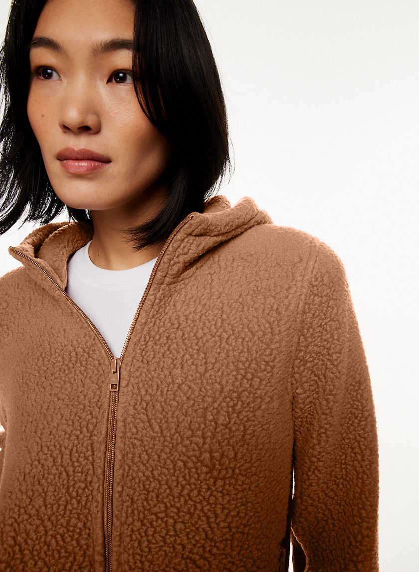 Aritzia teddy hot sale hoodie