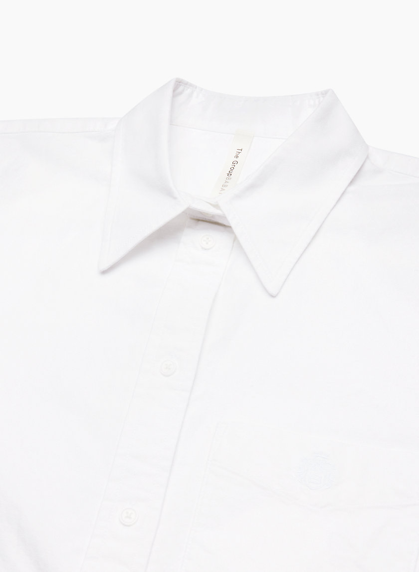 The Group by Babaton ESSENTIAL OVERSIZED OXFORD SHIRT | Aritzia CA