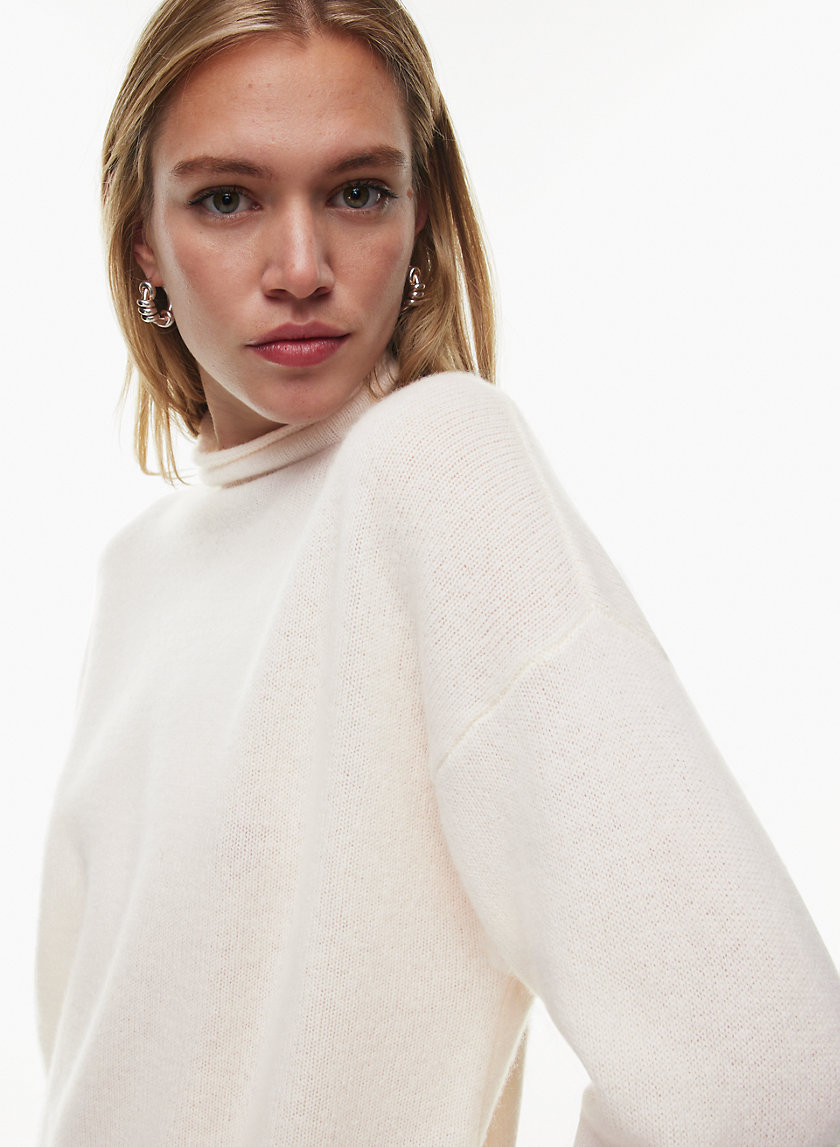 The Group by Babaton LUXE CASHMERE FORMAT TURTLENECK | Aritzia CA
