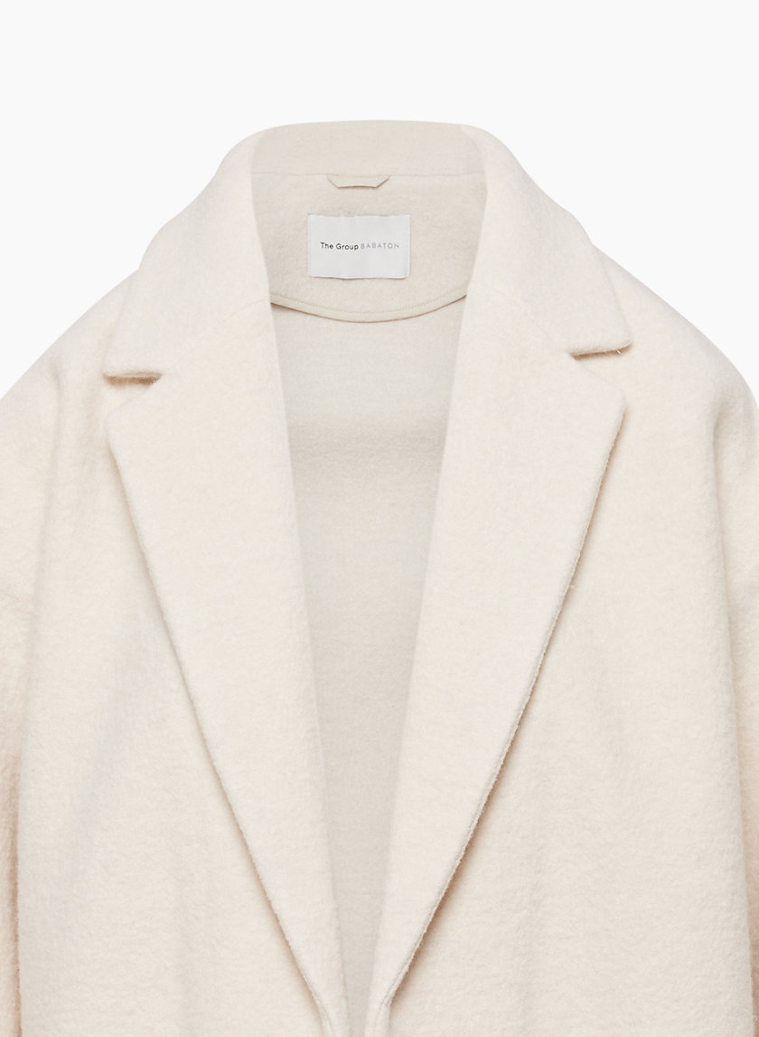 Aritzia hot sale leibovitz coat