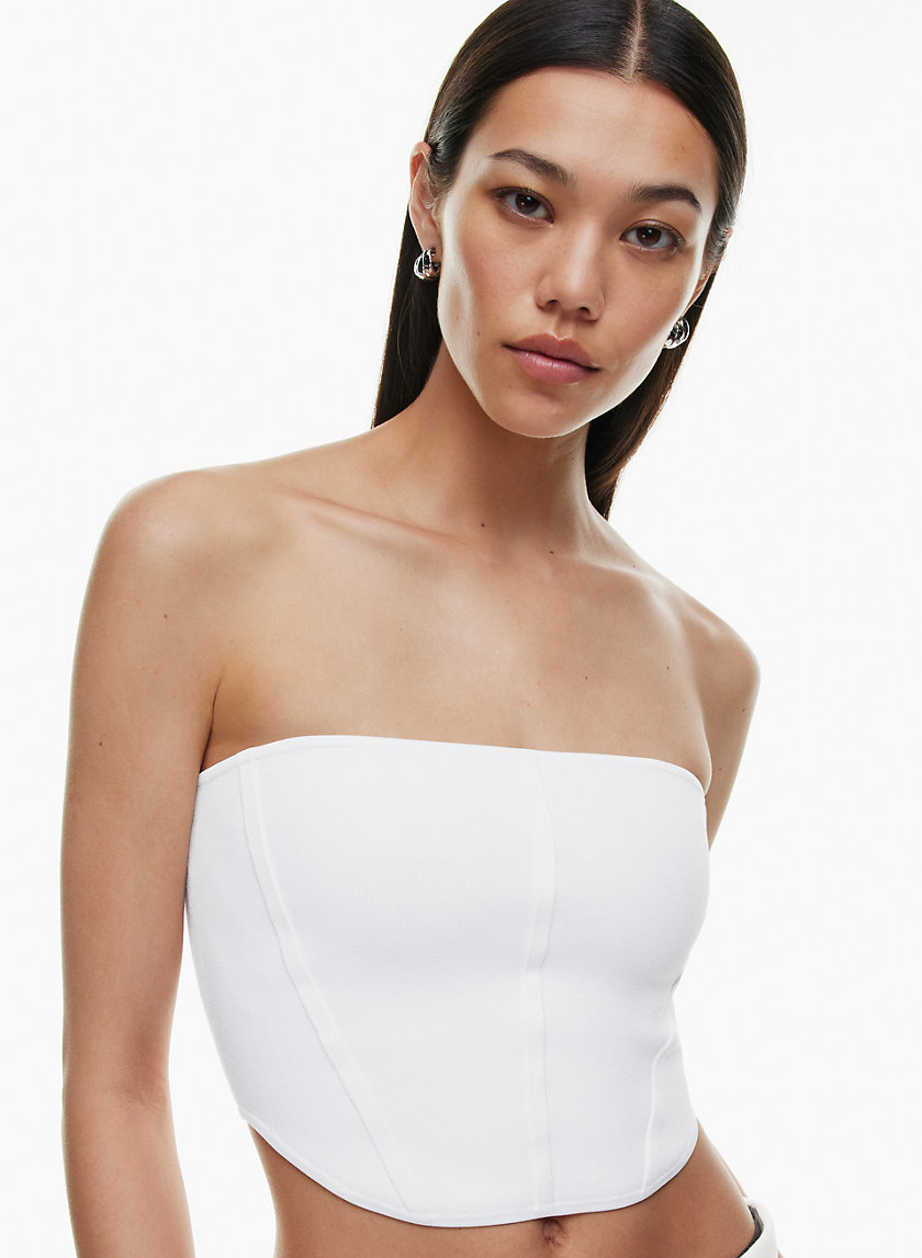 Babaton SCULPT KNIT BUSTIER TUBE TOP | Aritzia CA