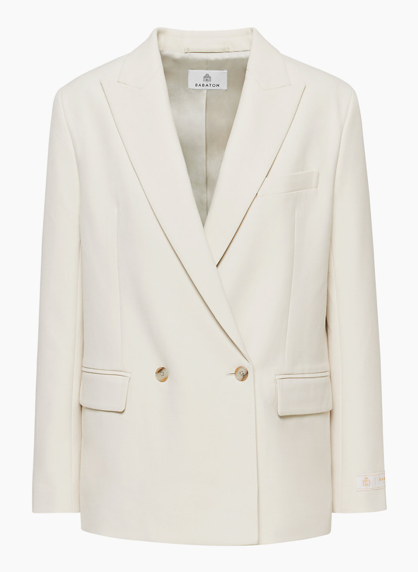 Babaton MILLIONS BLAZER | Aritzia CA