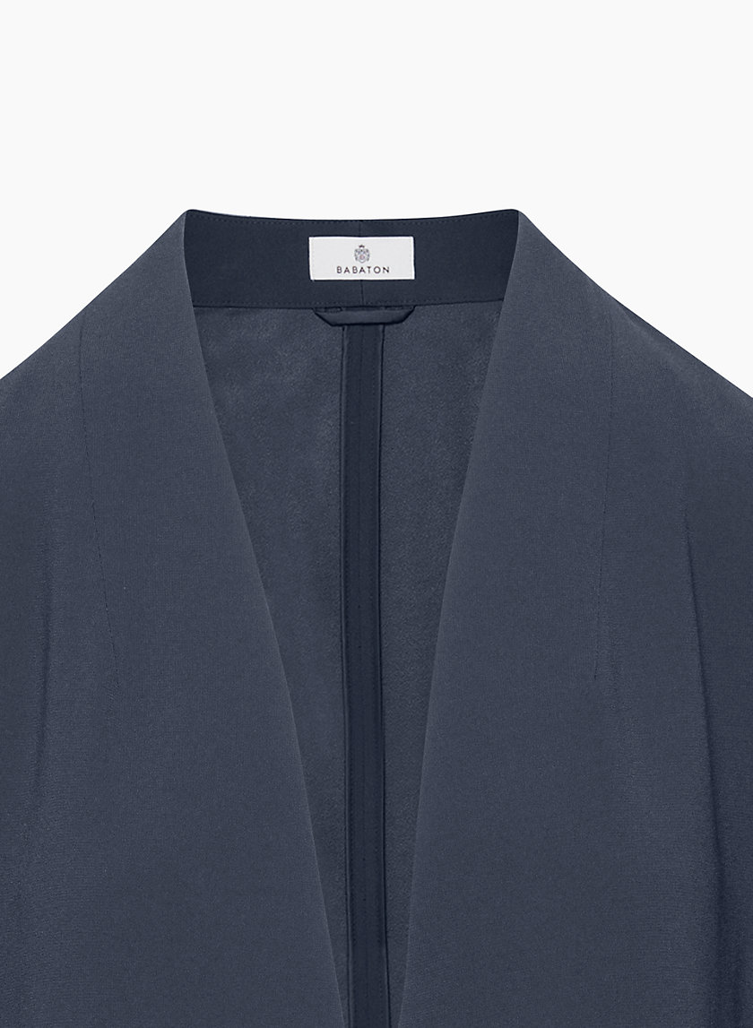 Babaton NEW POWER BLAZER | Aritzia US