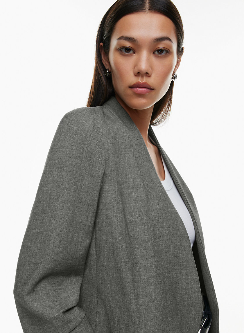 Babaton NEW POWER BLAZER | Aritzia CA