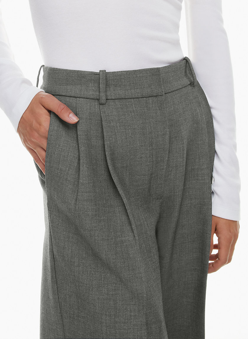 Babaton PLEATED PANT | Aritzia CA