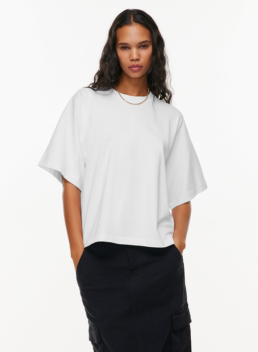 Aritzia T-Shirts