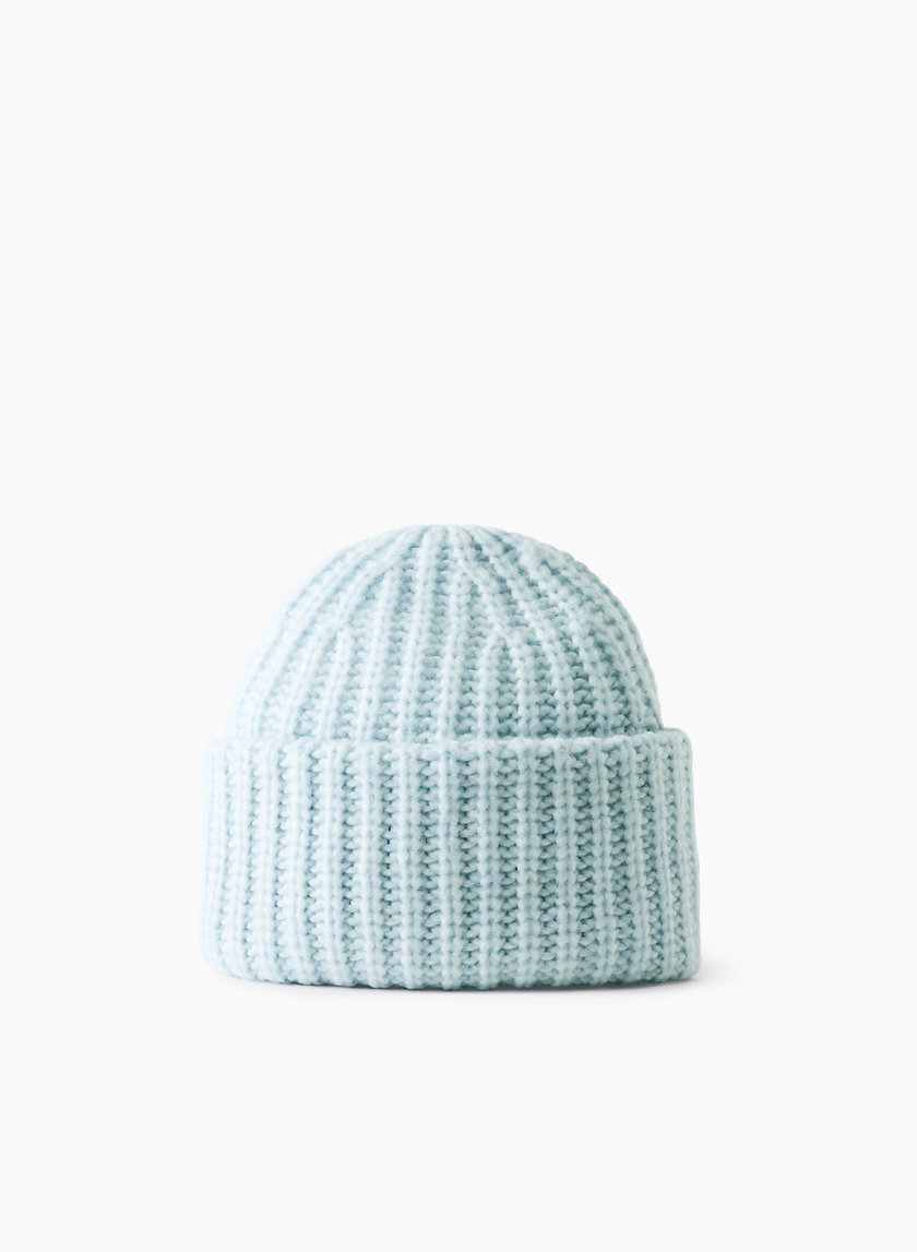 Wilfred WHISTLER BEANIE | Aritzia CA