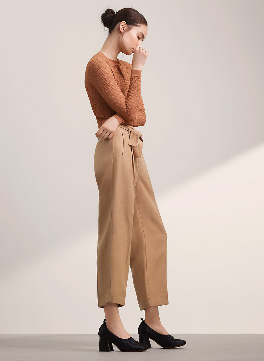 aritzia publish pant