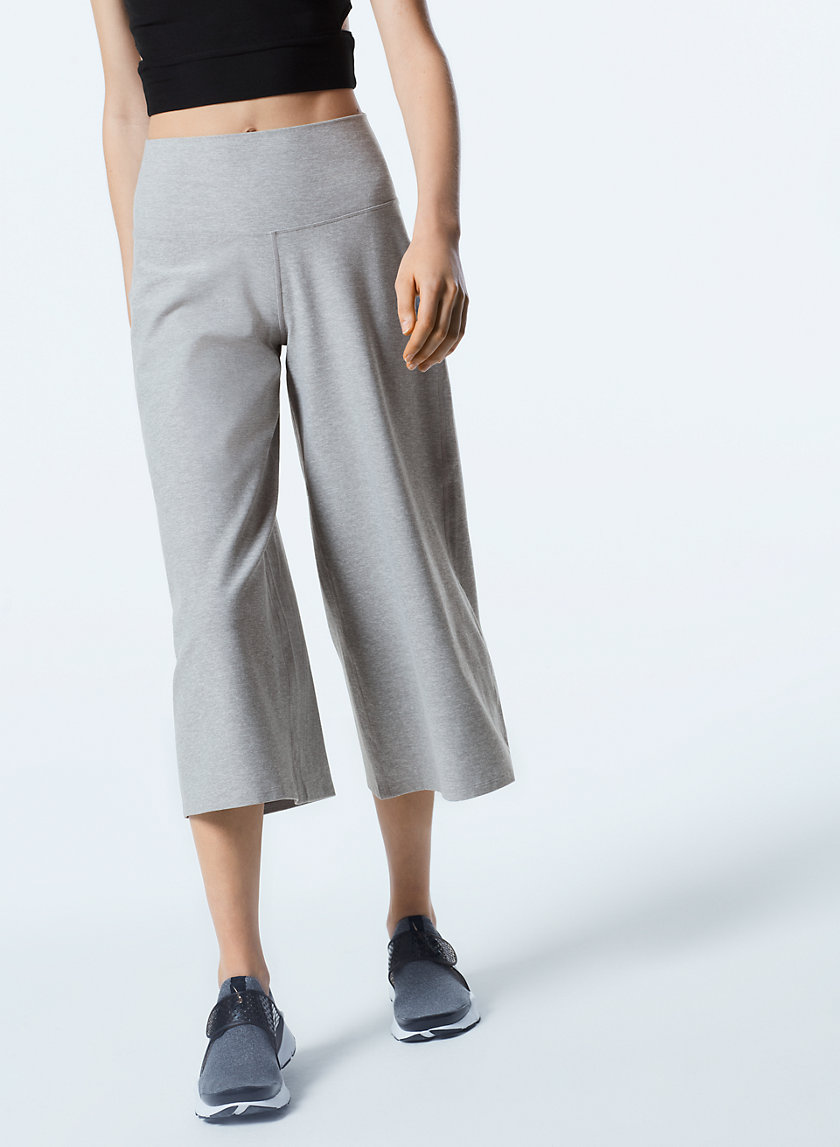 aritzia jogger pants