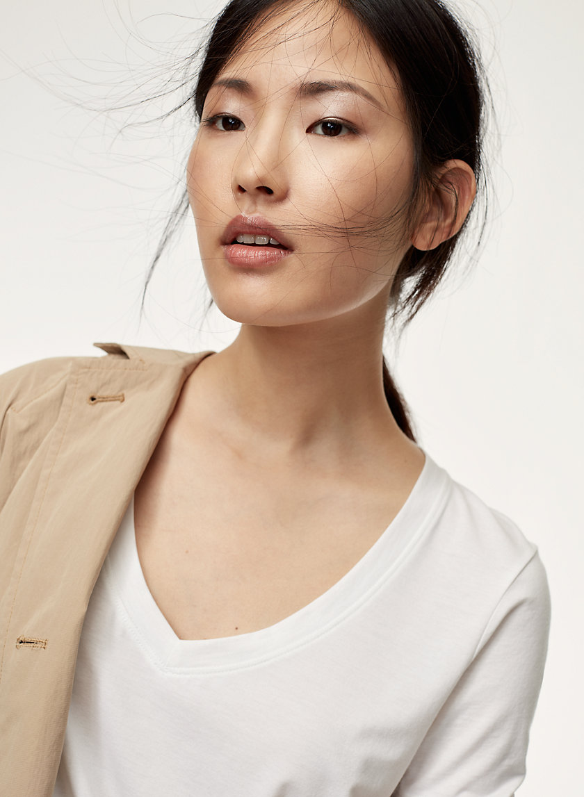 The Group by Babaton FOUNDATION V-NECK | Aritzia The Group by Babaton FOUNDATION V-NECK | Aritzia