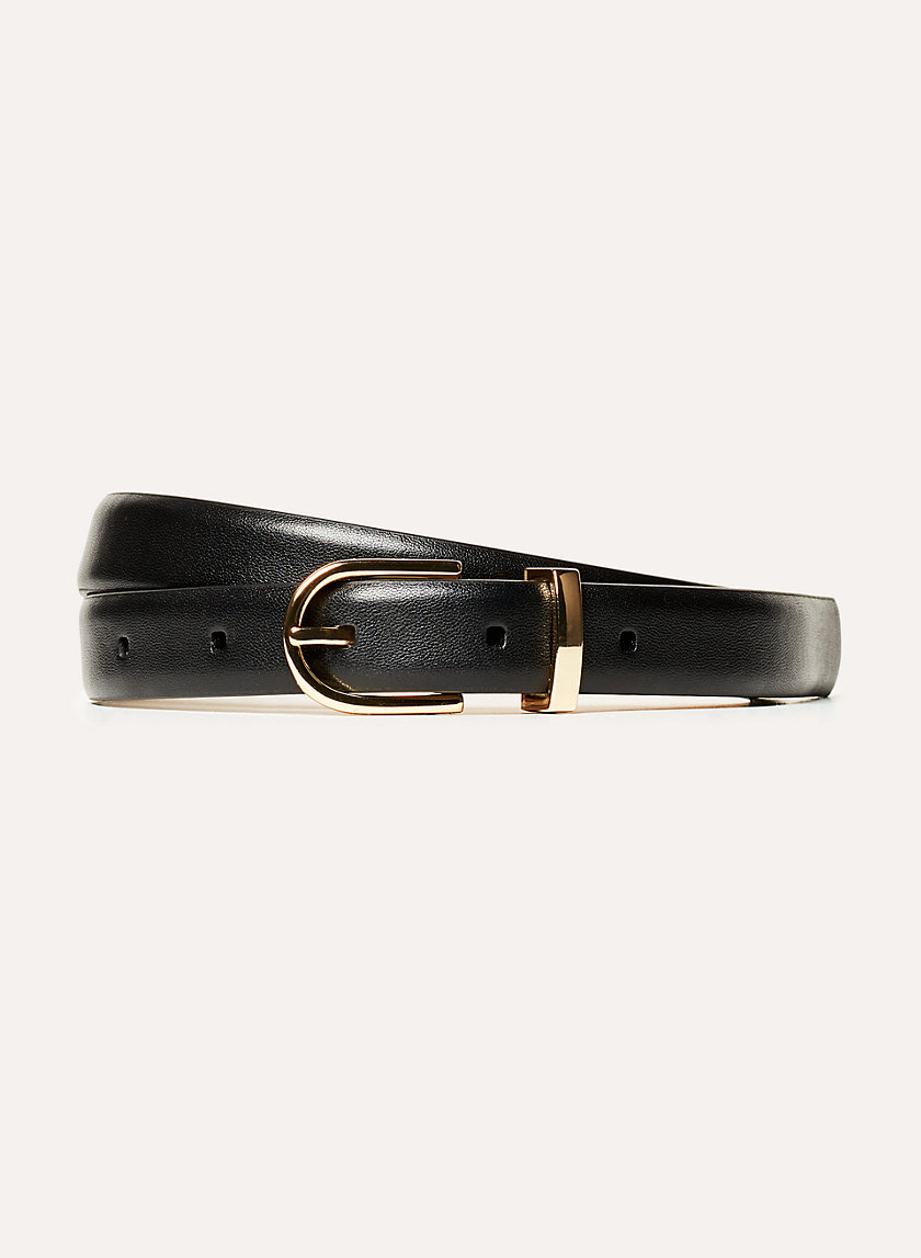 Babaton AMOS DRESS BELT | Aritzia US