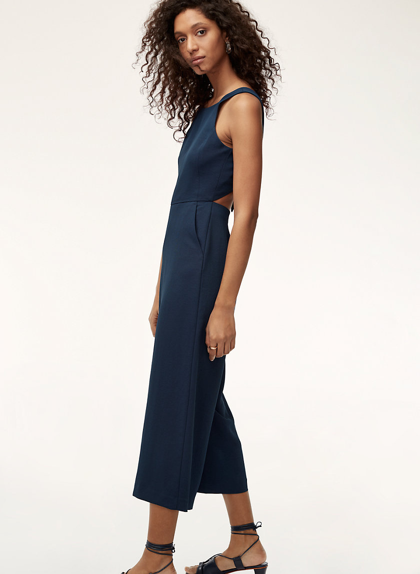 wilfred free ivy jumpsuit