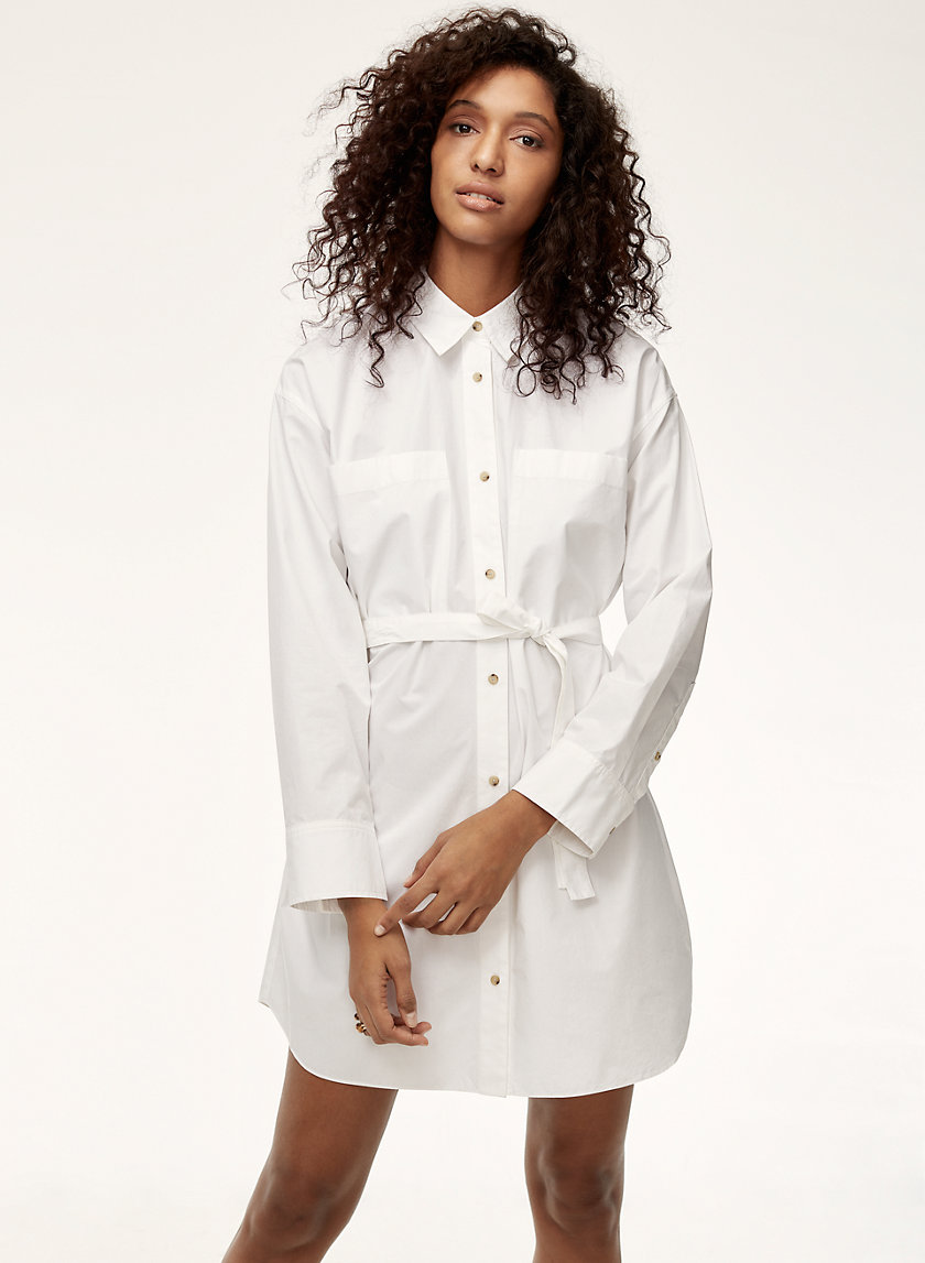 Wilfred DUPUIS DRESS | Aritzia Wilfred DUPUIS DRESS | Aritzia