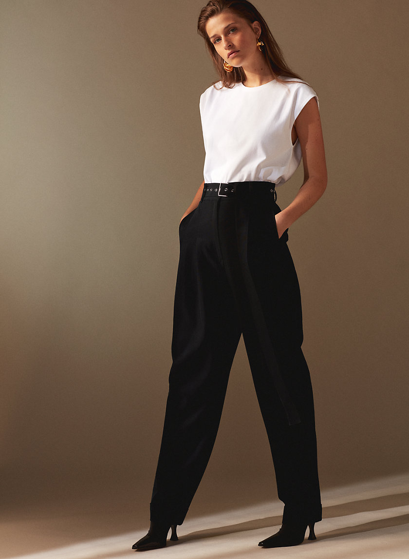 1-01 Babaton GONNERMAN PANT | Aritzia 1-01 Babaton GONNERMAN PANT | Aritzia