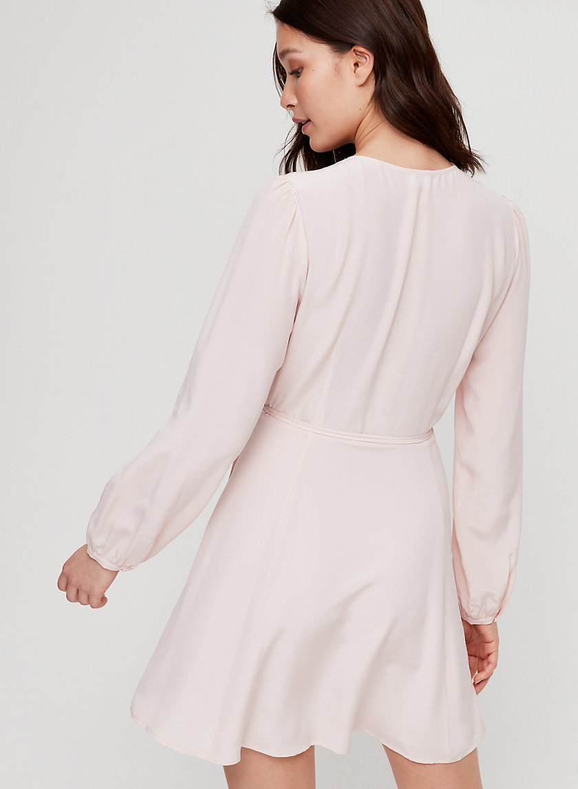 diane dress aritzia