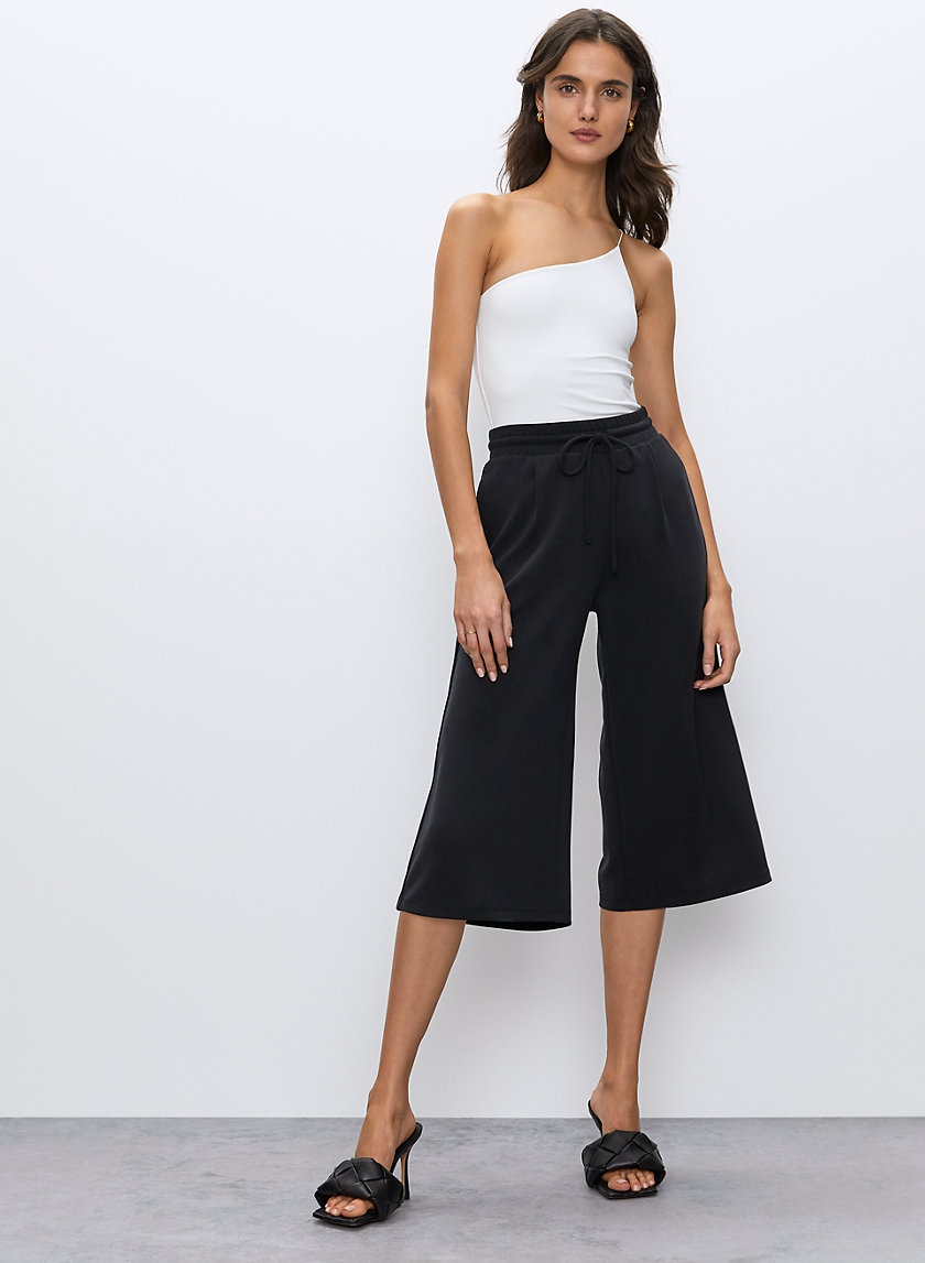 Babaton LUIZ PANT | Aritzia US
