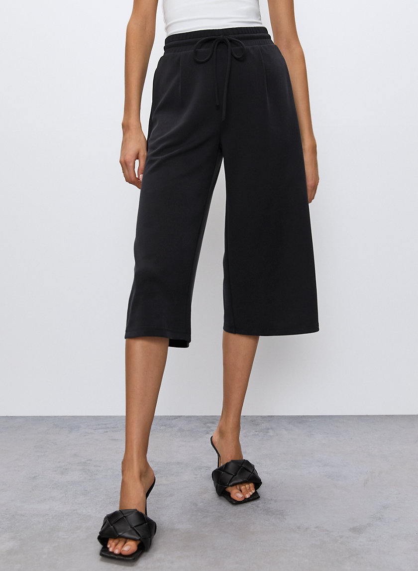Babaton LUIZ PANT | Aritzia US