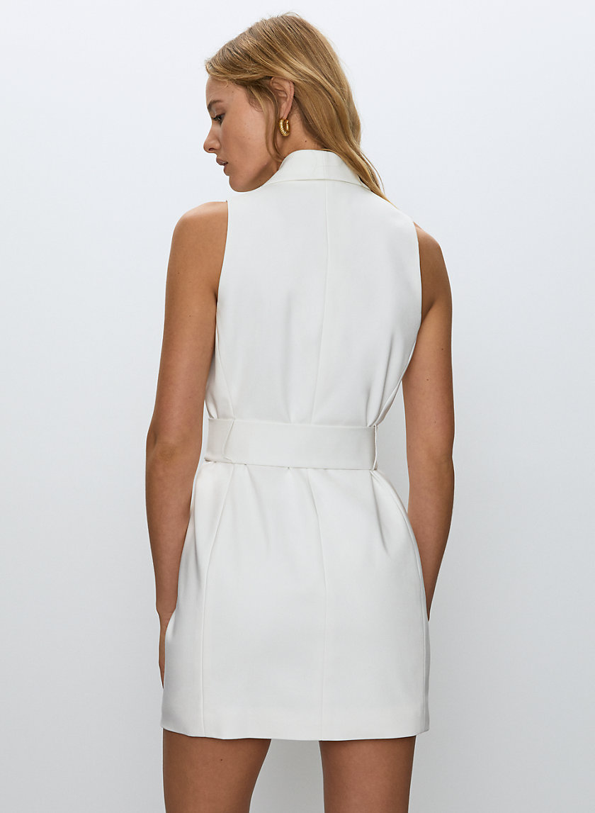 Babaton TORINO DRESS | Aritzia US