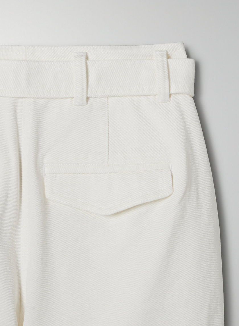 The Group by Babaton ANTARES SHORT | Aritzia US