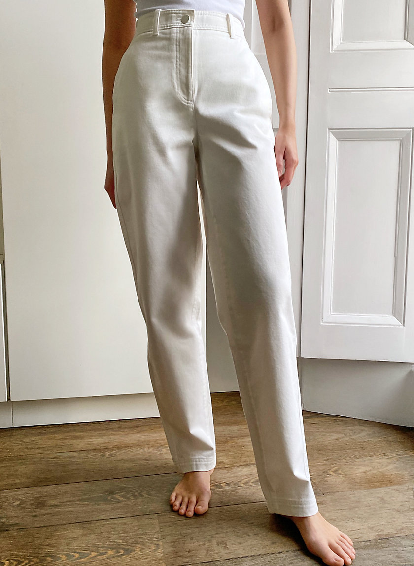 Babaton GARDNER PANT | Aritzia INTL