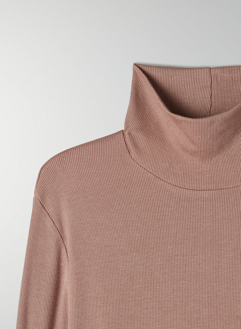 Babaton SLIM TURTLENECK | Aritzia US