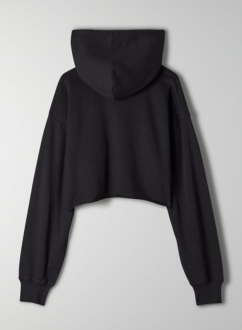 Tna AIRY FLEECE BOYFRIEND CROPPED HOODIE Aritzia US