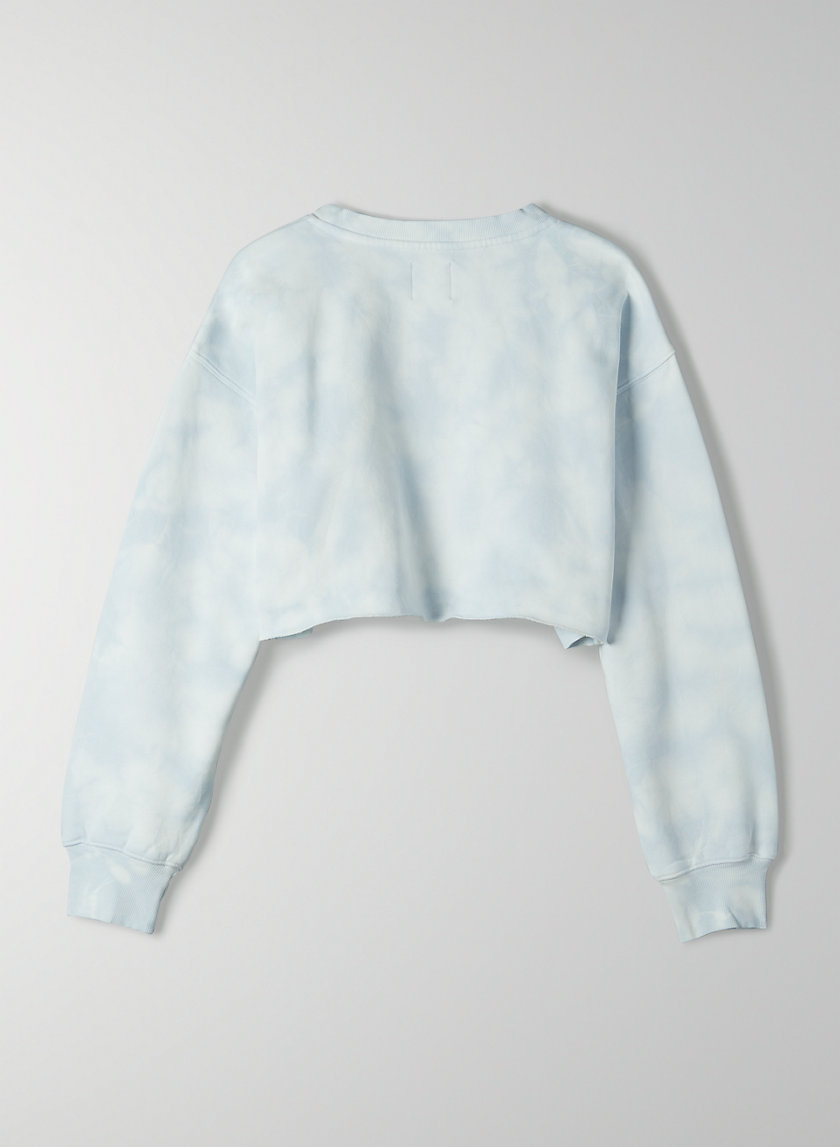 aritzia boyfriend cropped crewneck