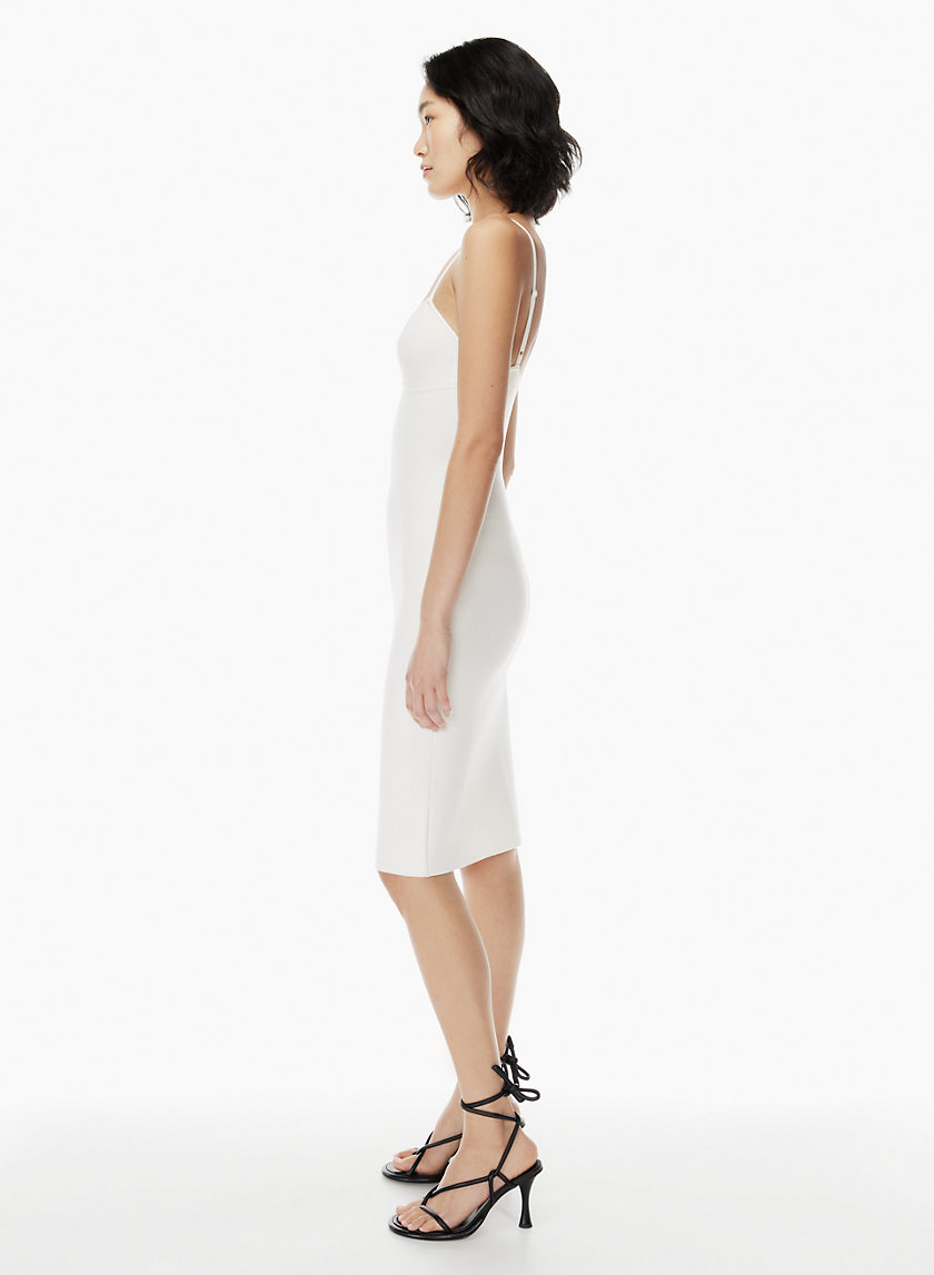 aritzia babaton dress