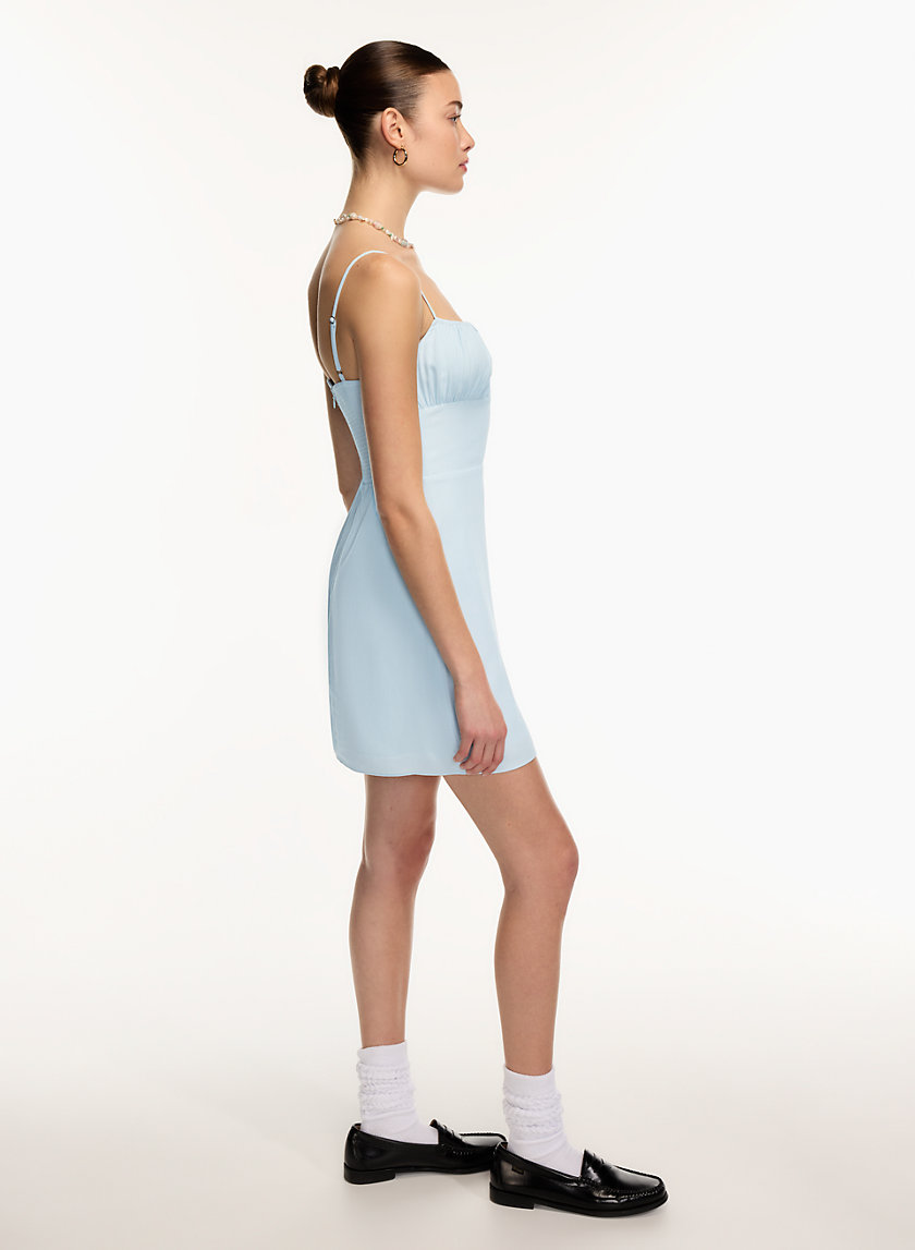 blue aritzia dress