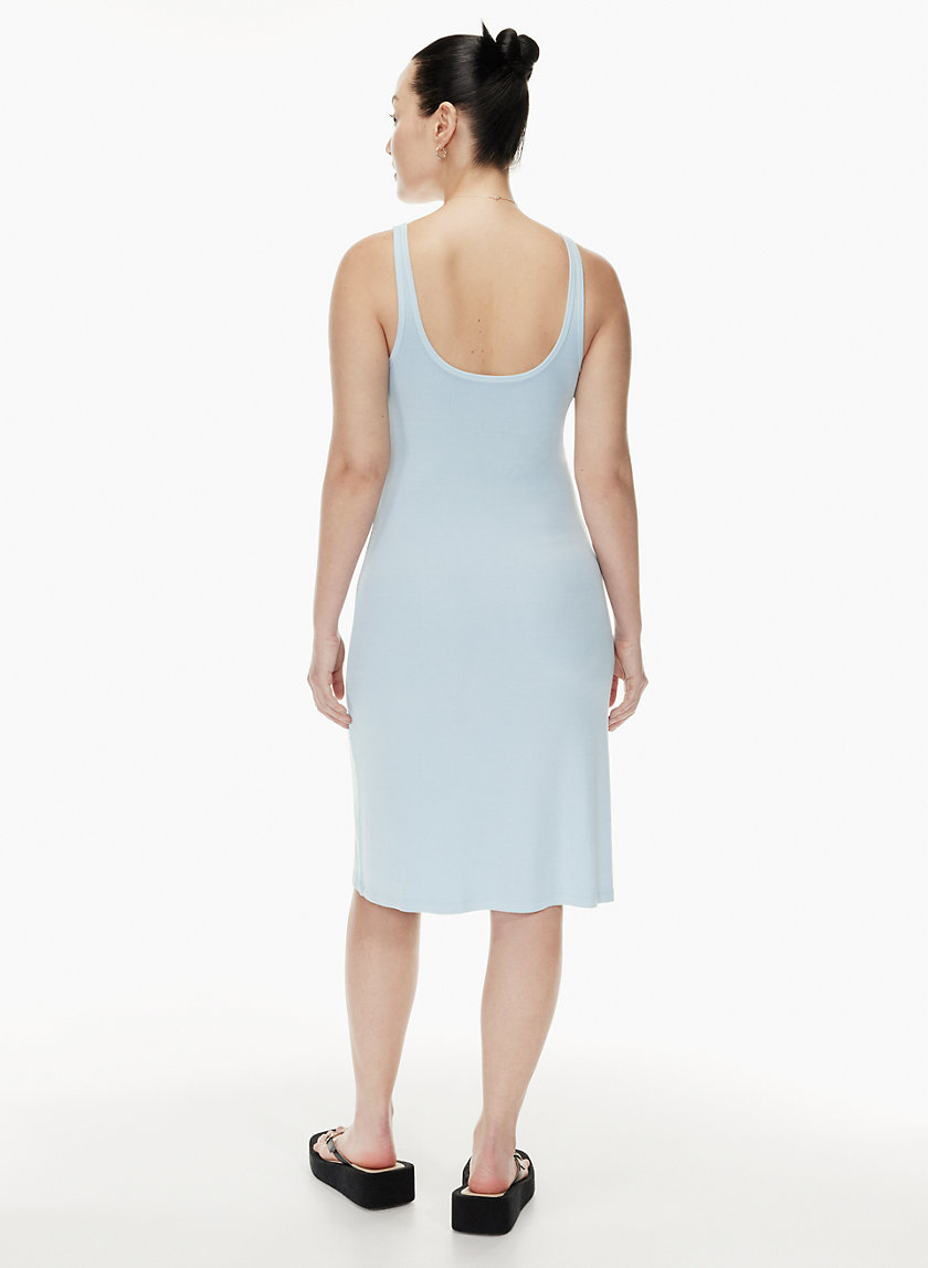 blue aritzia dress