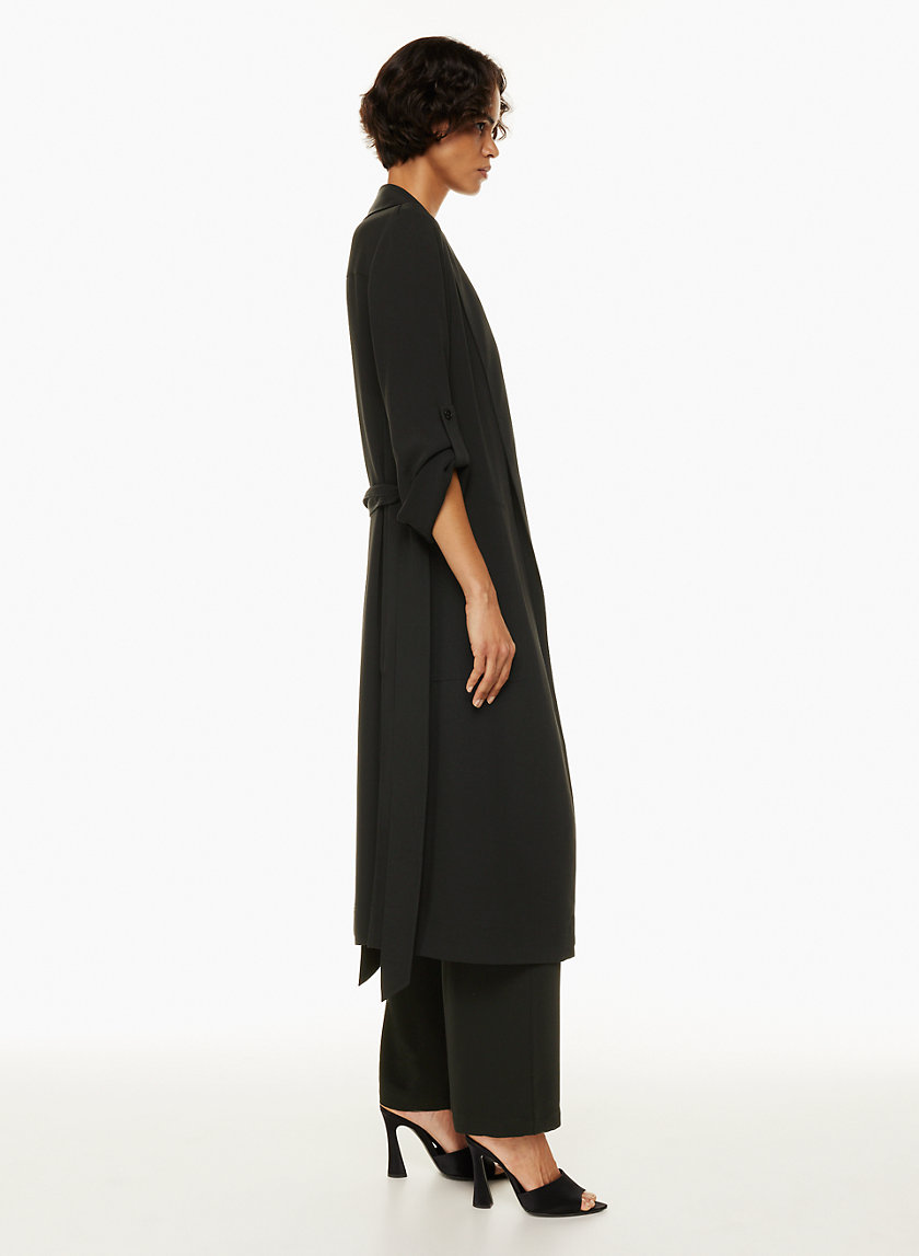 Babaton NEW KAHLO ROBE | Aritzia US
