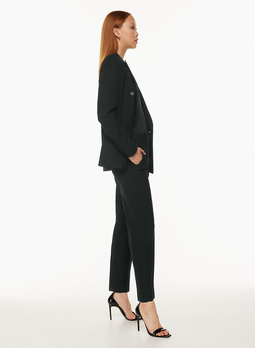 Babaton MINTER PANT | Aritzia US