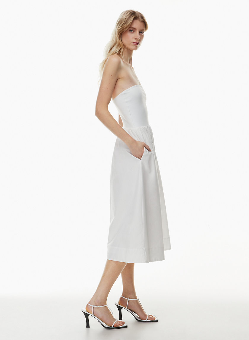 Babaton FLUID DRESS | Aritzia INTL